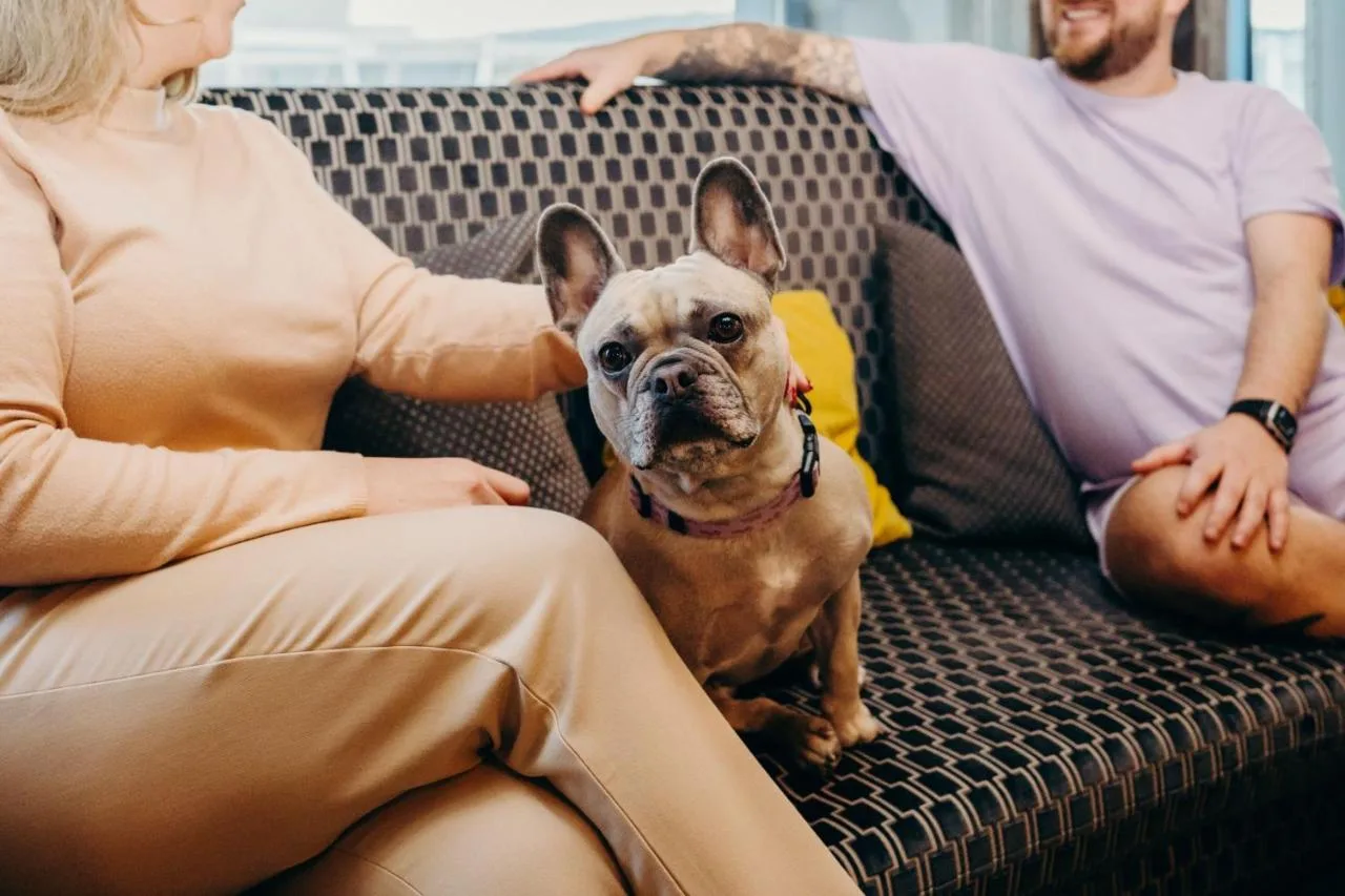 a dog sitting on a couch between two people at Aloft by Marriott Aberdeen TECA in Aberdeen
