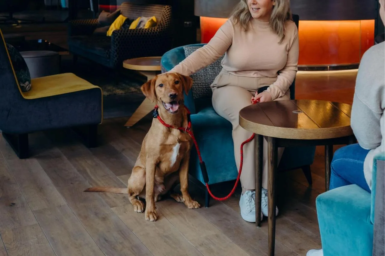 a woman sitting in a chair with a dog on a leash at Aloft by Marriott Aberdeen TECA in Aberdeen